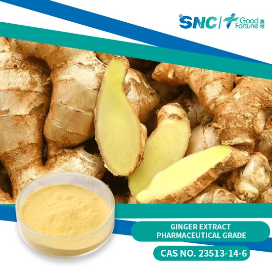 Ginger Extract Supplement with Potent Gingerol for Digestive Support 