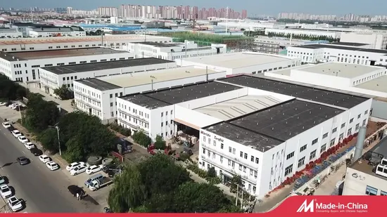 OEM ODM PTFE PFA Coaed Disc CF8 CF8m SS304 SS316 Wcb Bronze API ANSI DIN JIS BS Standard Control Butterfly Valve Gate Valve Check Valve Y Strainer 