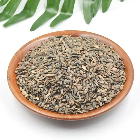 Fructus Arctii, Niu Pang Zi Wholesale Natural Herb Burdock Seeds Arctium Lappa L Semen for Sale 