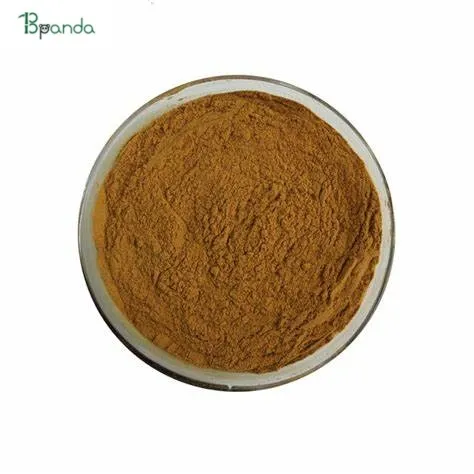 Top Quality Astragalus Extract / Astrangaloside 