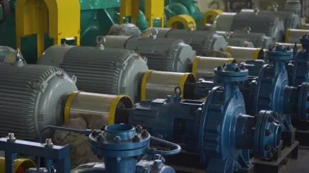 API Horizontal Centrifugal Petrochemical Hot Crude Fuel Pumps Diesel Gas Oil Transfer Acid Chemical Process API610 Water Pump Manufacturer Sulzer Ebara 