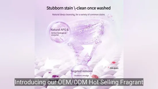 High Quality Brand Name Antibacterial Antifungal Washing Detergent Soap Laundry Liquid Detergent Cleaning Product Washing Powder Price 