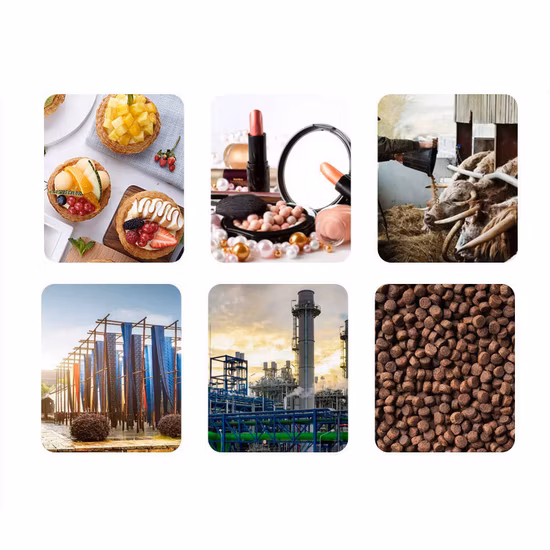 Sports Nutrition Wholesale Powder CAS 6020